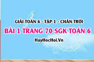 Giải bài 1 trang 70 Toán 6 Tập 1 SGK Chân trời sáng tạo